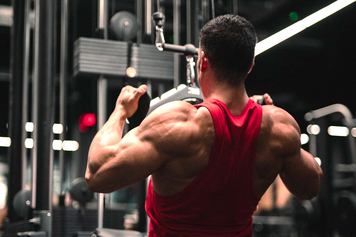 5 claves para desarrollar una espalda fuerte y grande