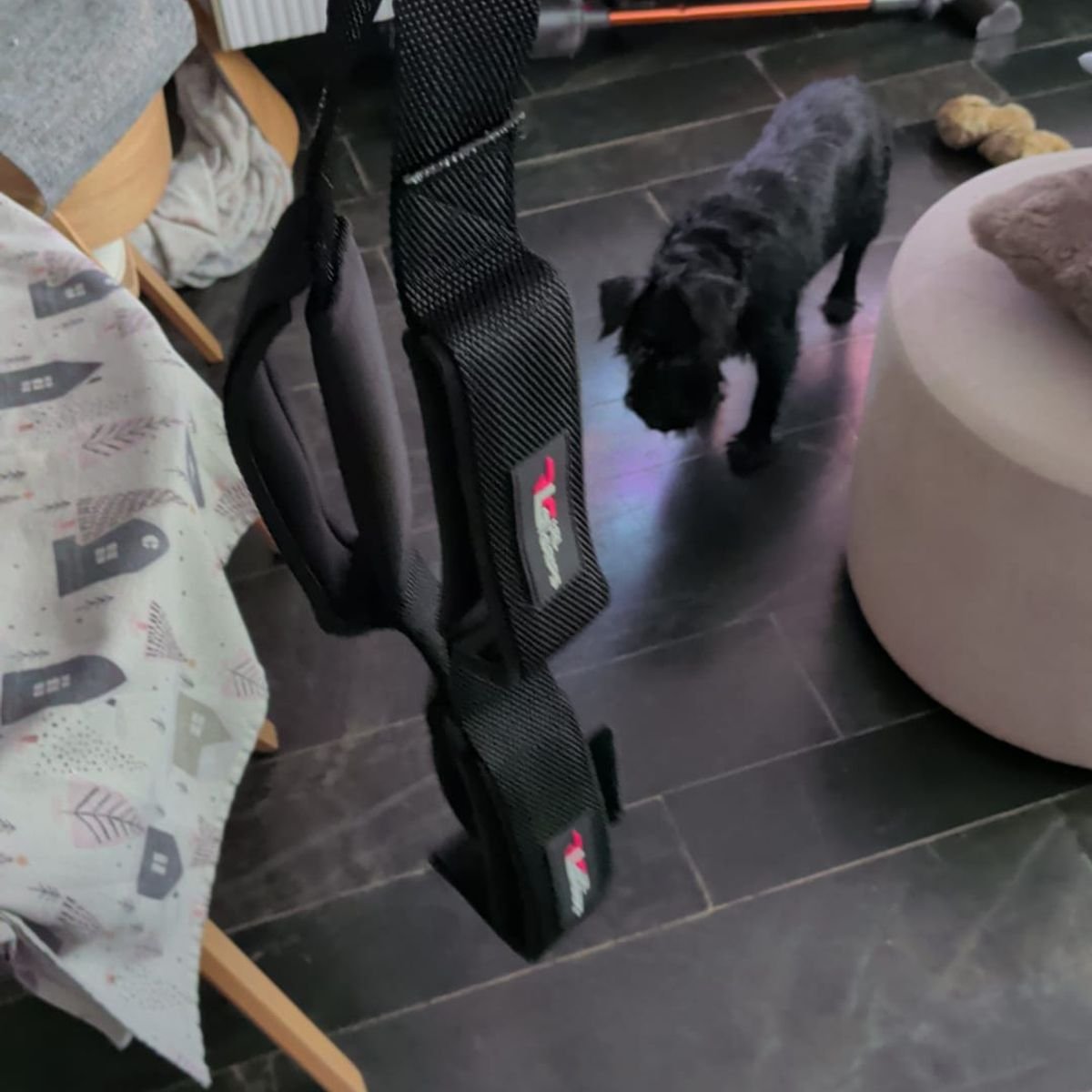 Imagen #1 de Nacho G.